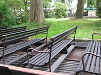 IMG_1147.webp