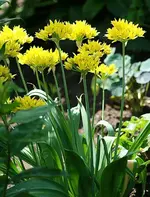 IMG_5402_kleiner.webp