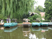 IMG_1141.webp