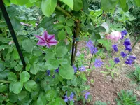 001 (2).webp