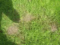 comp_CIMG5930.webp