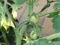 CIMG2959.webp