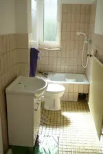 P1110246.webp