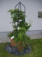 DSCF6003.webp