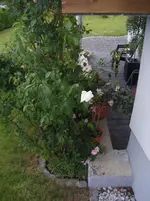 DSCF6004.webp