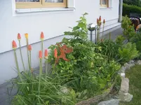 DSCF6008.webp