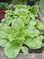 DSCF6009.webp