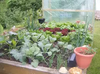 DSCF6010.webp