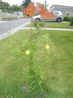 DSCF6014.webp