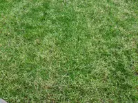 SDC14746.webp
