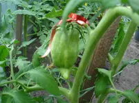 DSC01941.webp