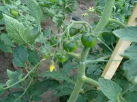 DSC01944.webp
