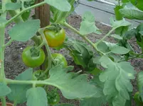 DSC01945.webp