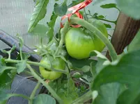 DSC01946.webp