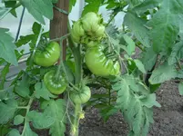 DSC01947.webp