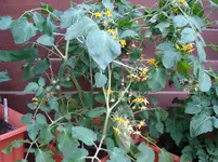 DSC01950.webp