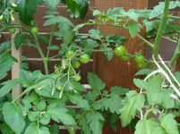 DSC01952.webp