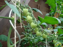 DSC01956.webp