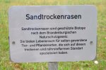 Sandtrockenrasen.jpg