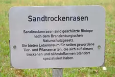 Sandtrockenrasen.webp