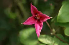 DSC05419.webp