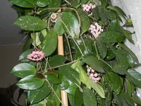 DSCN0762.webp