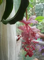 DSCN0765.webp