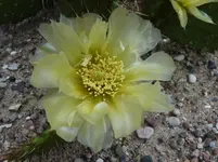 P1030086.webp