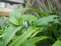 DSCN0773.webp