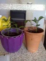 11062011090.webp