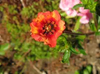 IMG_3443_1067x800.webp