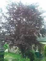 2011-06-11 13.10.57.webp