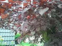 2011-06-11 13.11.12.webp