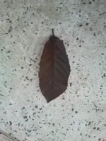 2011-06-11 13.11.26.webp