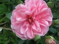 023.webp