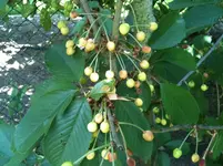 IMG_0310[1].webp