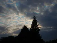 133.webp
