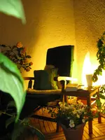 IMG_1787.webp