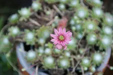 DSC05437.webp