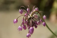 DSC05441.webp