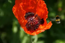 DSC05442.webp