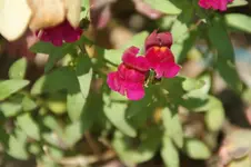 DSC05443.webp