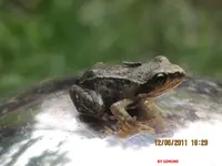 küss mich.webp