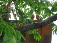 DSC00885.webp