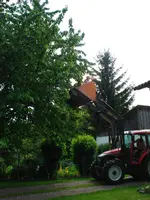 DSC00880.webp