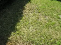 Rasen-1.webp