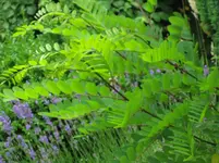 IMG_1460.webp