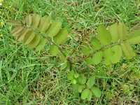 img_13-06-1.webp