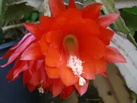 IMGP3828.webp
