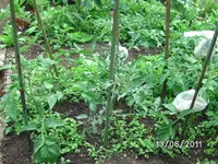 BILD0002.webp